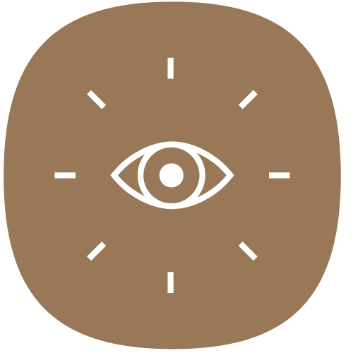 visualisierung